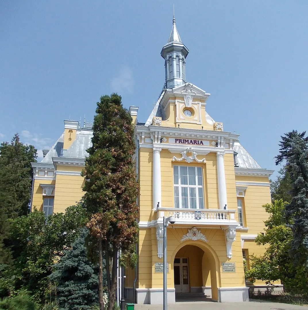 Primăria Botoșani