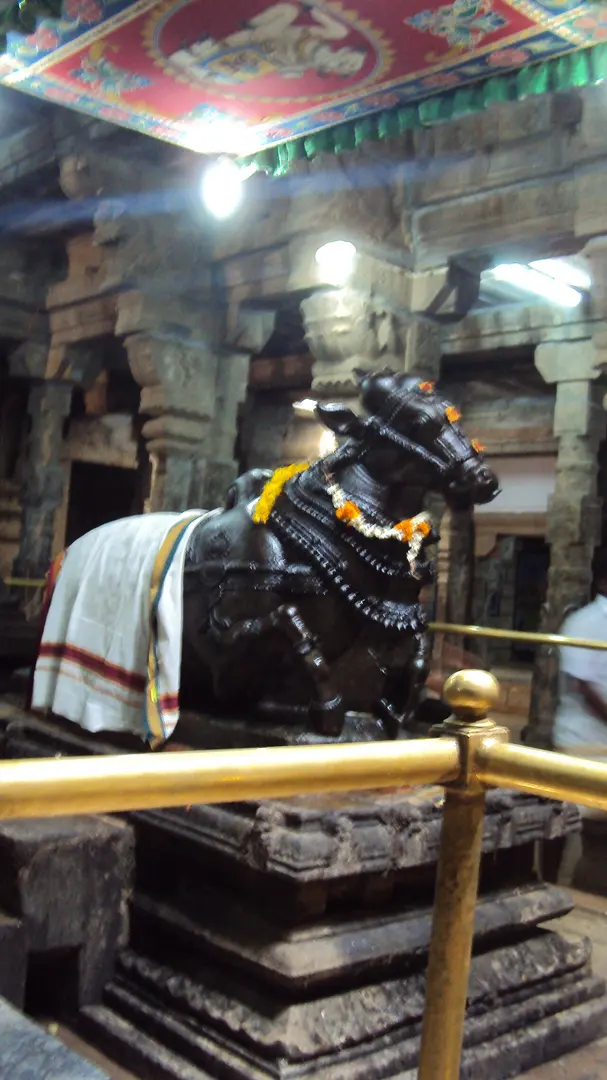 Arultharum Paramakalyani Ambal Utanaya Arulmigu Sivasailanatha Swami Temple