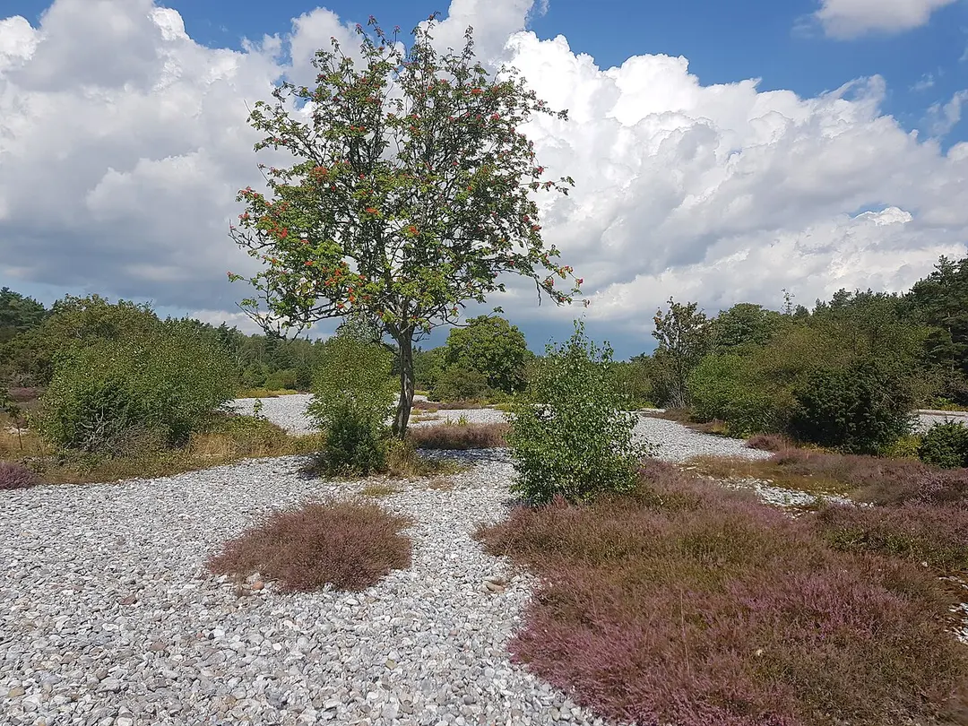 Feuersteinfelder