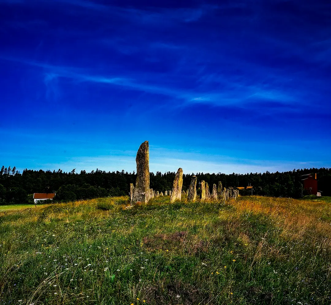 Stenskeppet vid Blomsholm