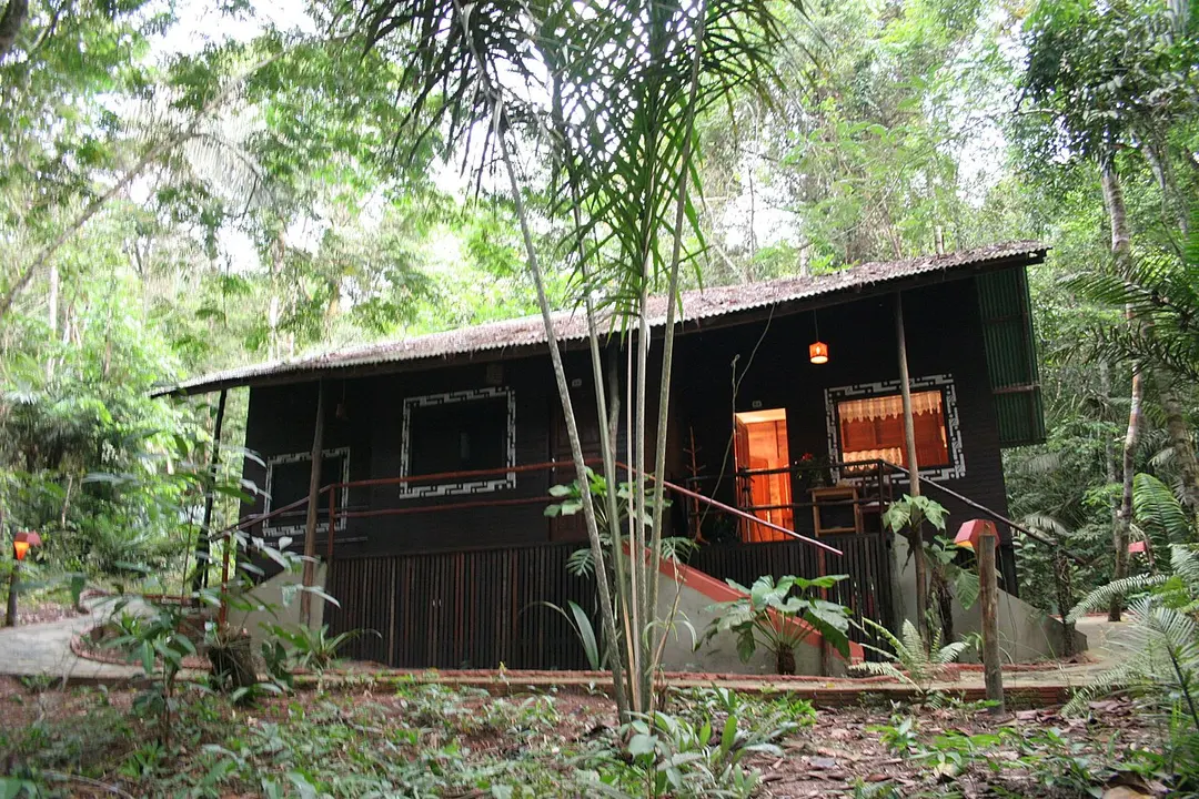 fluss rio Tarumã-Açu