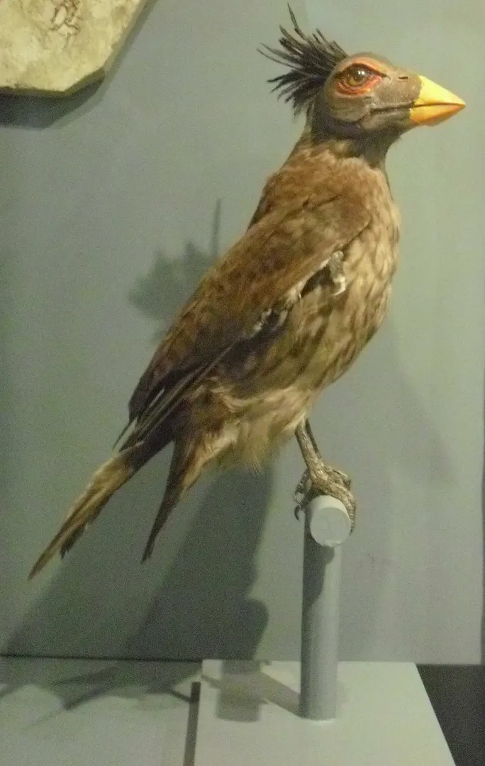 Jura-Museum