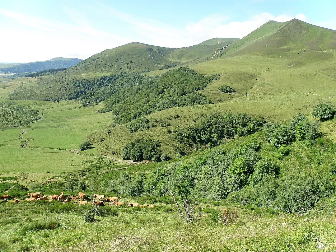 Puy de Surains