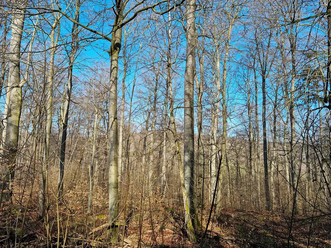 Heuberg