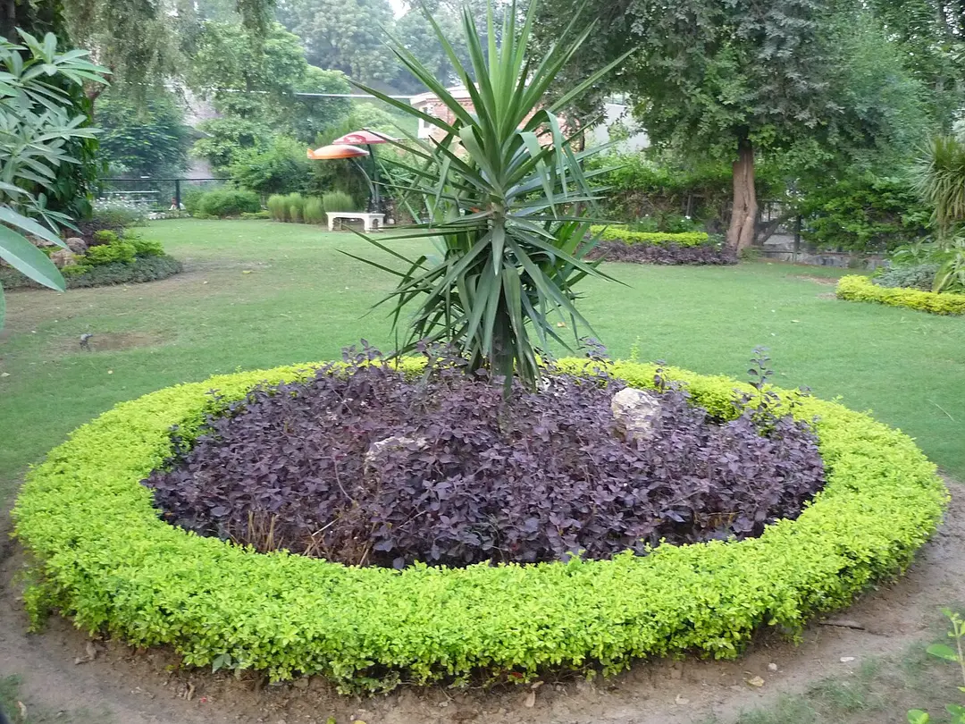 Lahore Zoo