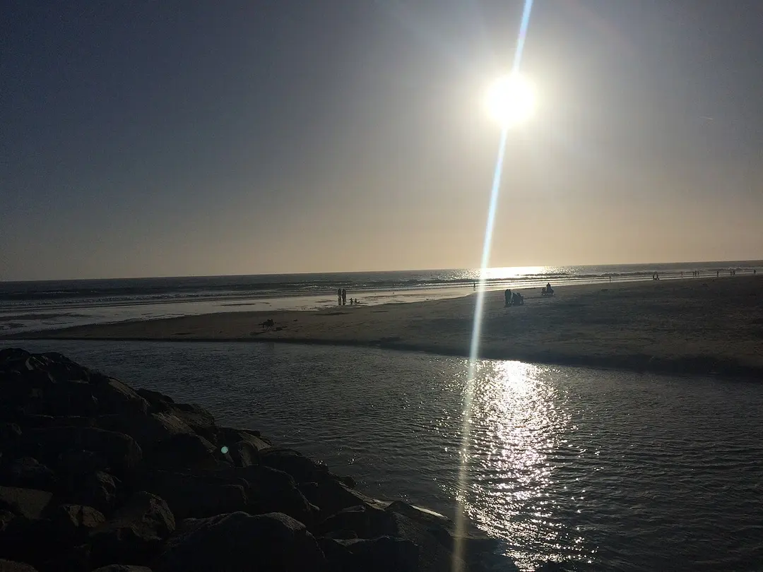 Huntington State Beach