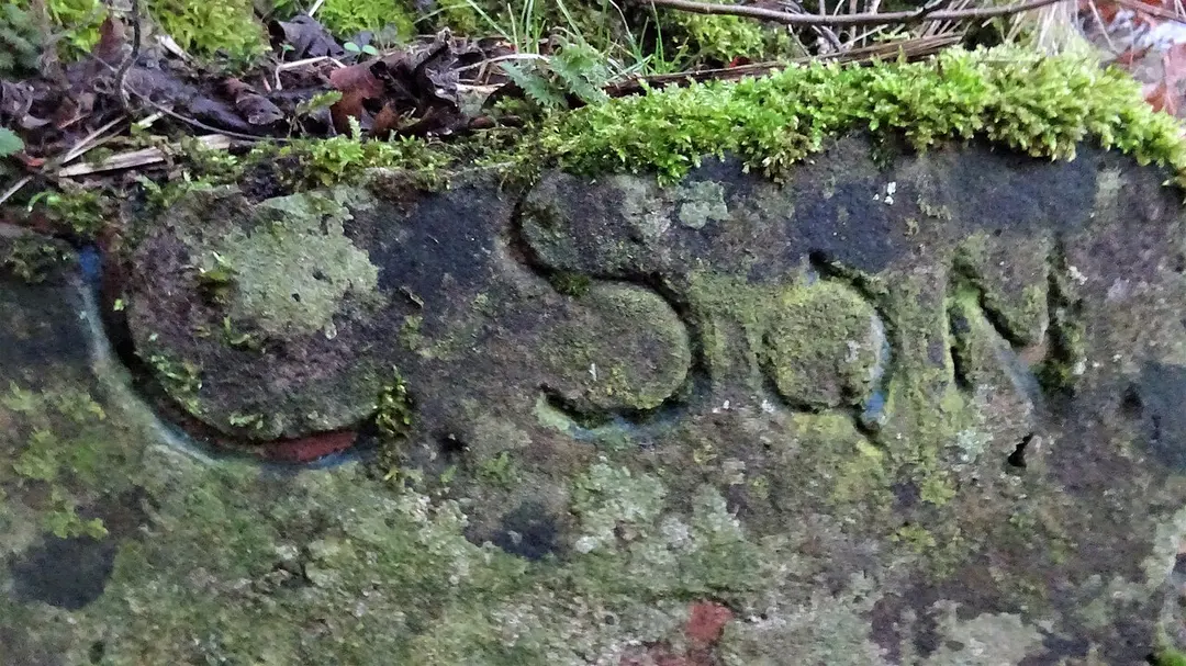 Lainshaw House