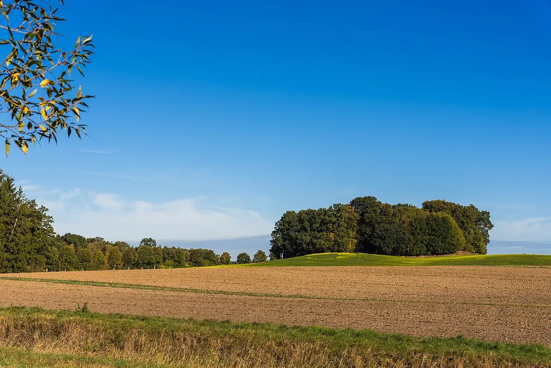 Oldenburger Wall