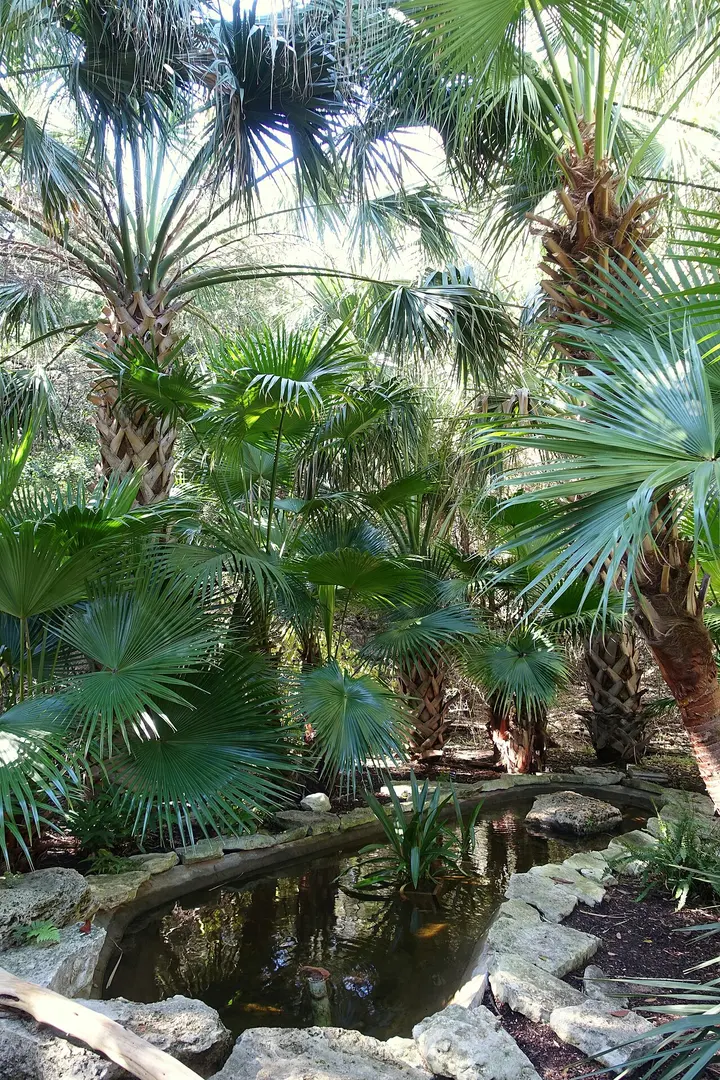 Hartman Prehistoric Garden