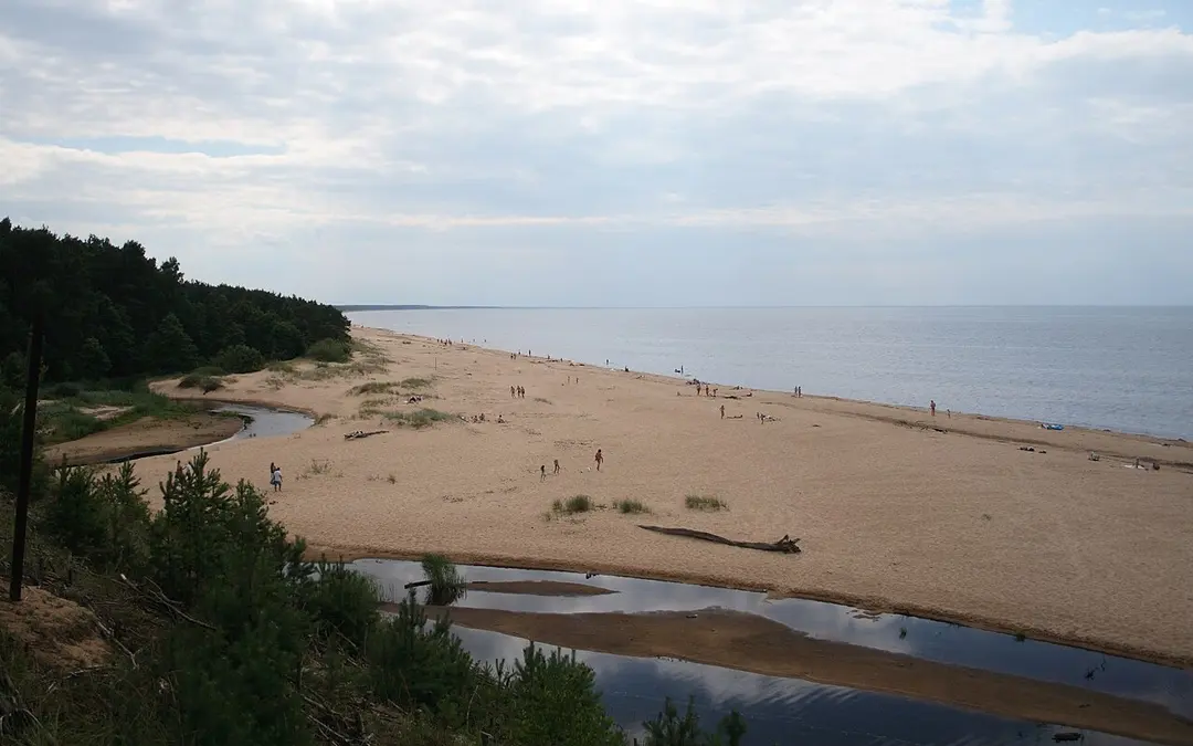 White Dune