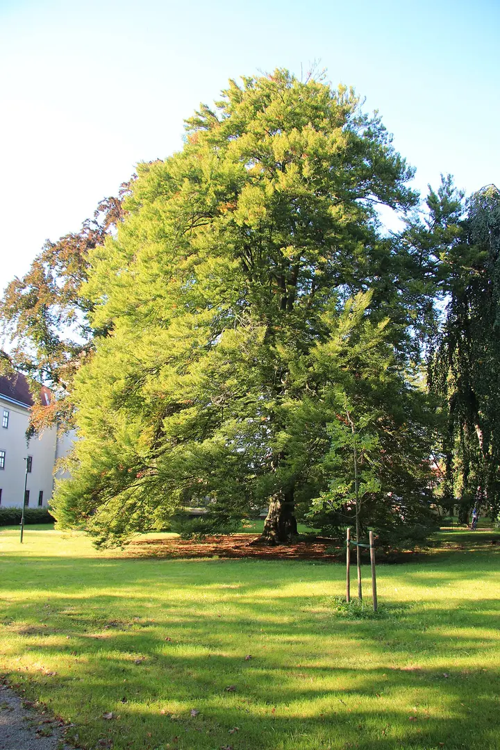 Schlosspark