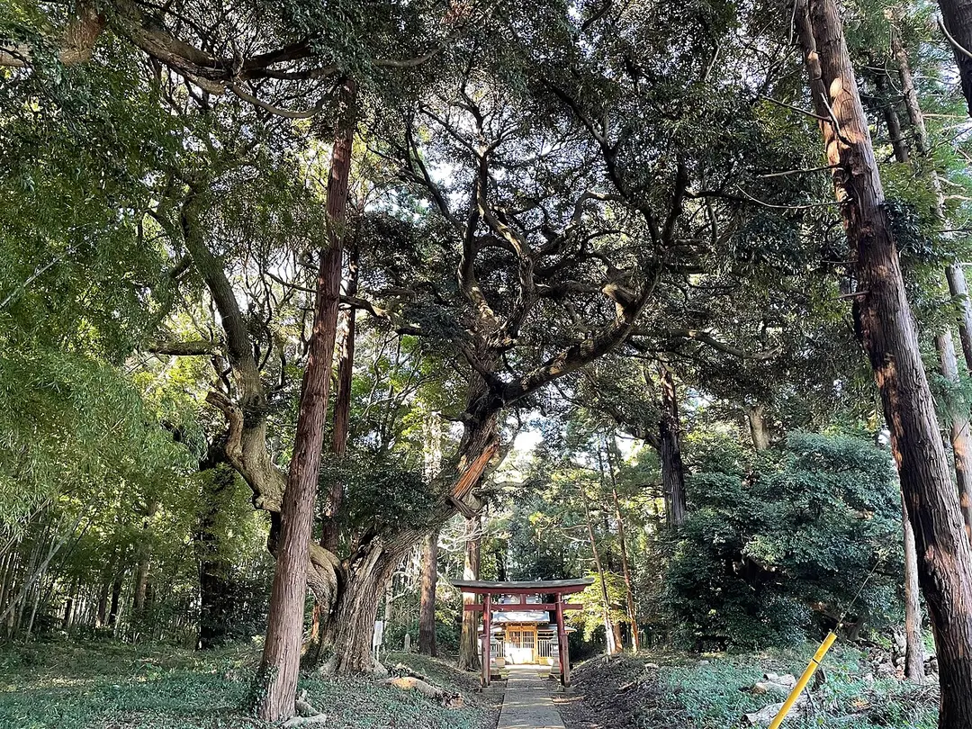 山崎鎮守八幡神社