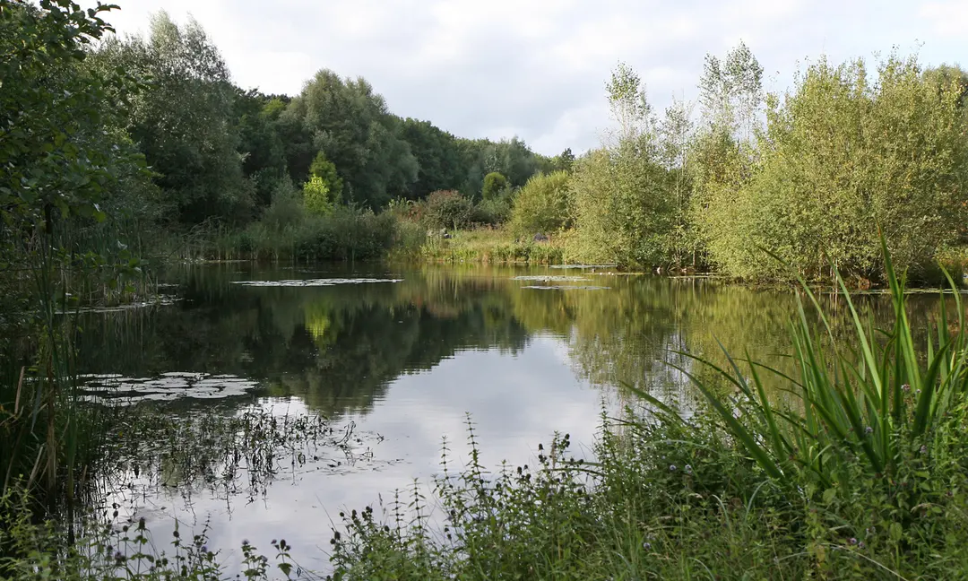 Arboretum Poort-Bulten