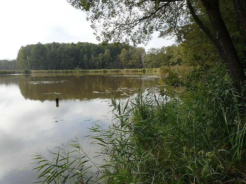 Rezerwat Żurawno