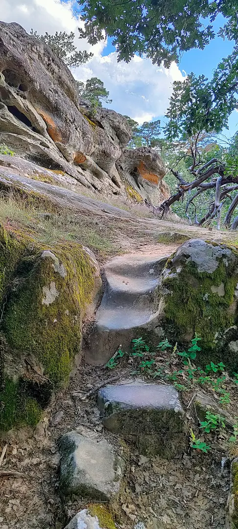 Necrópolis altomedieval de Cuyacabras