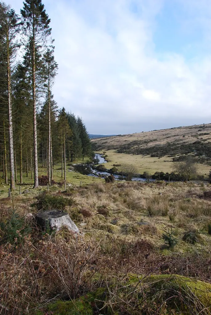 East Dart River