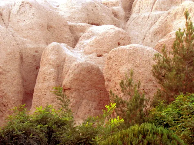 Tepe Juqin