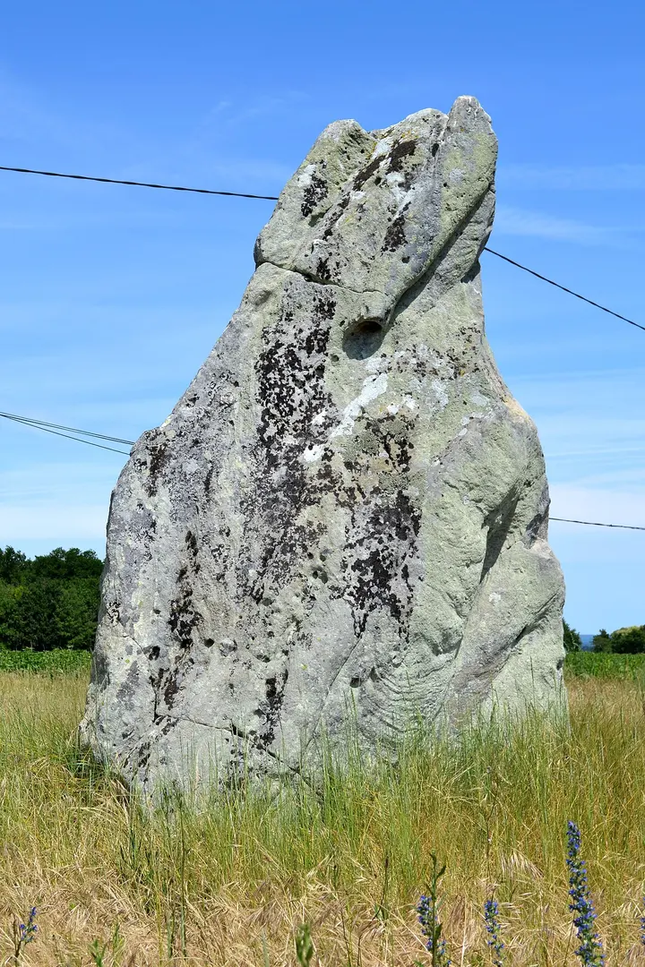 Menhir du Bois-Gilbert
