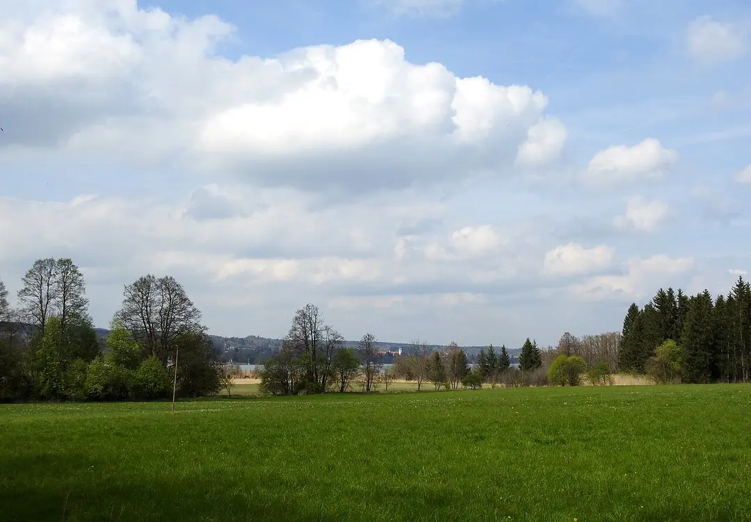 Karpfenwinkel mit Streuwiesen am Starnberger See
