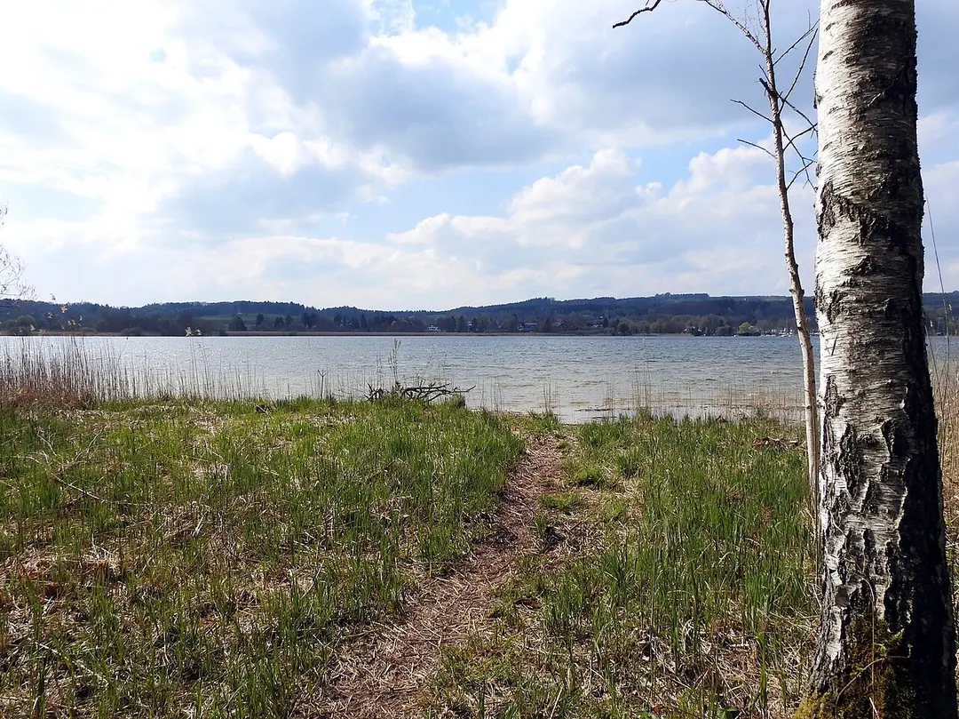Karpfenwinkel mit Streuwiesen am Starnberger See