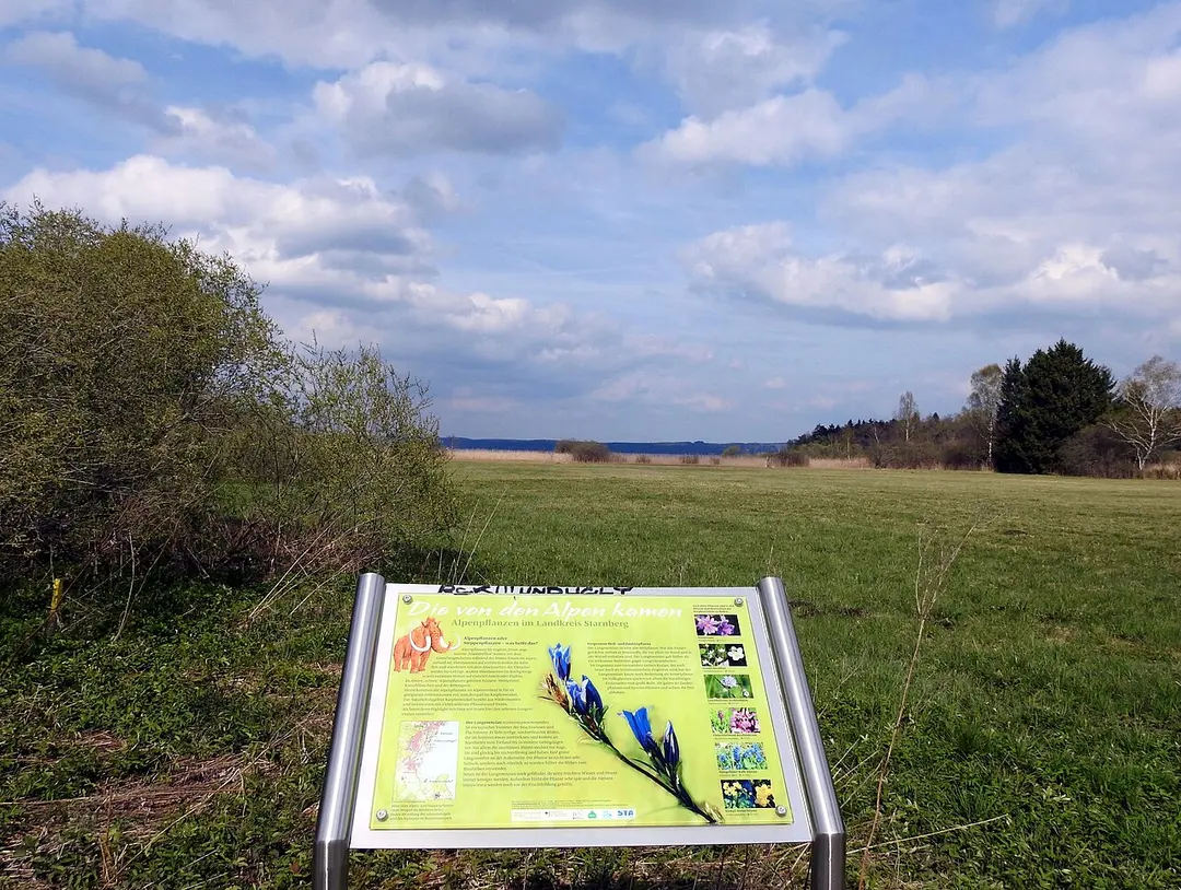 Karpfenwinkel mit Streuwiesen am Starnberger See