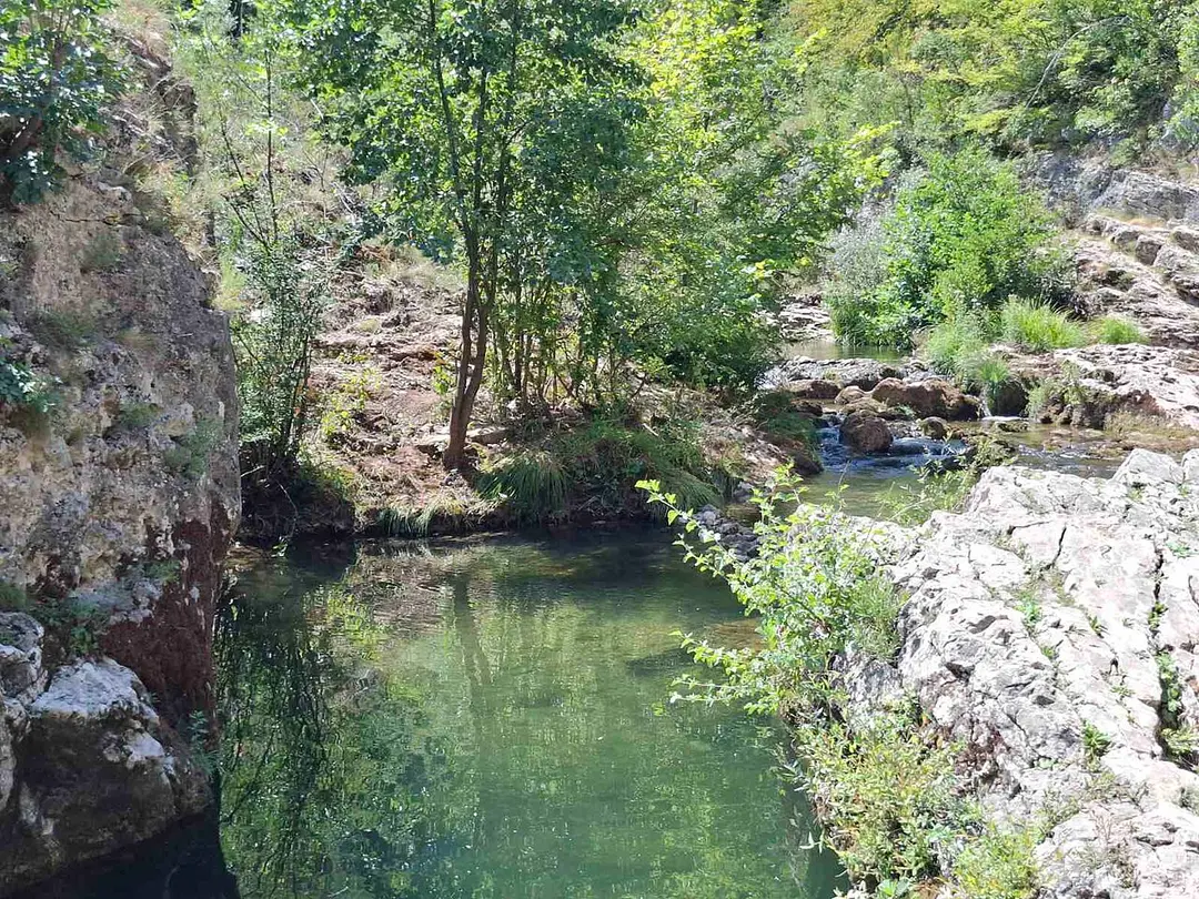 Sokobanjska Moravica