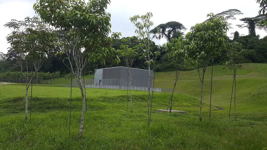 Bukit Brown