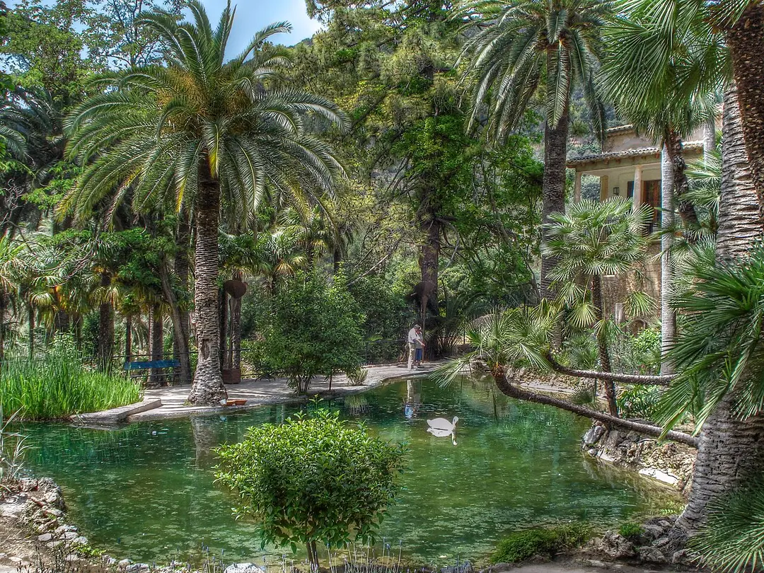 Jardins d'Alfàbia