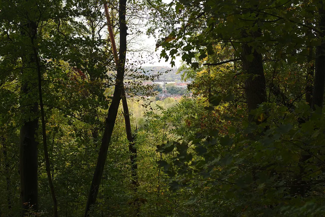 Fürstlicher Weinberg