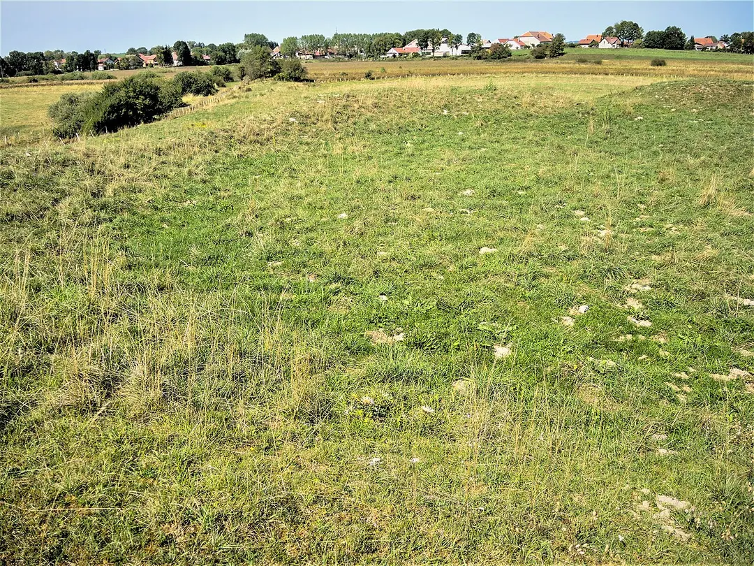 Site du Fort Bachin
