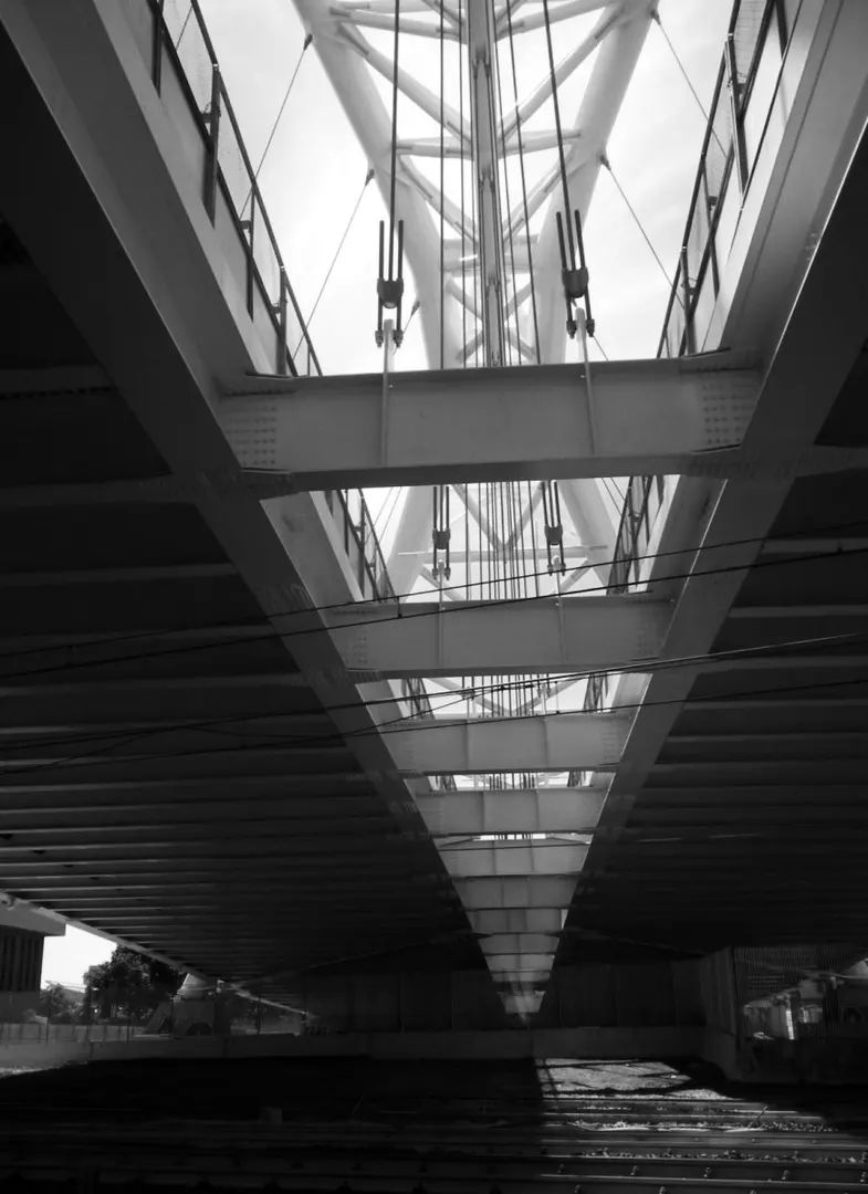 Ponte della Scienza