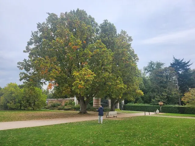 Cliveden