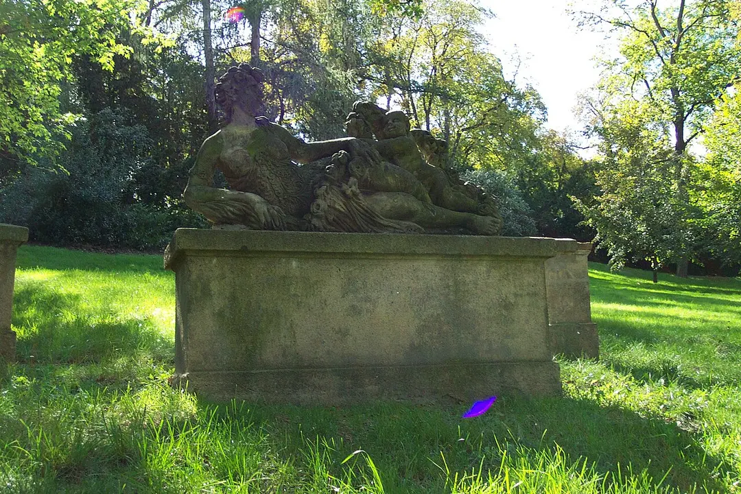 Flora