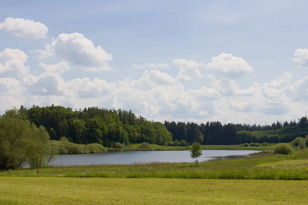 Endmoränenweiher südlich Asten