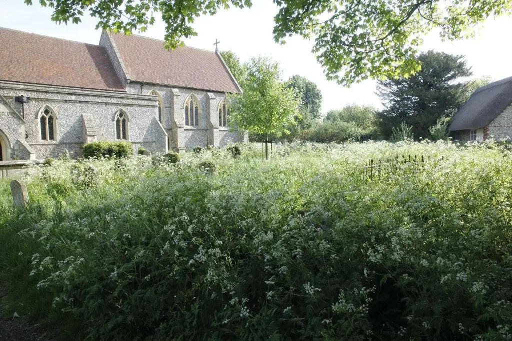 Saint Margaret