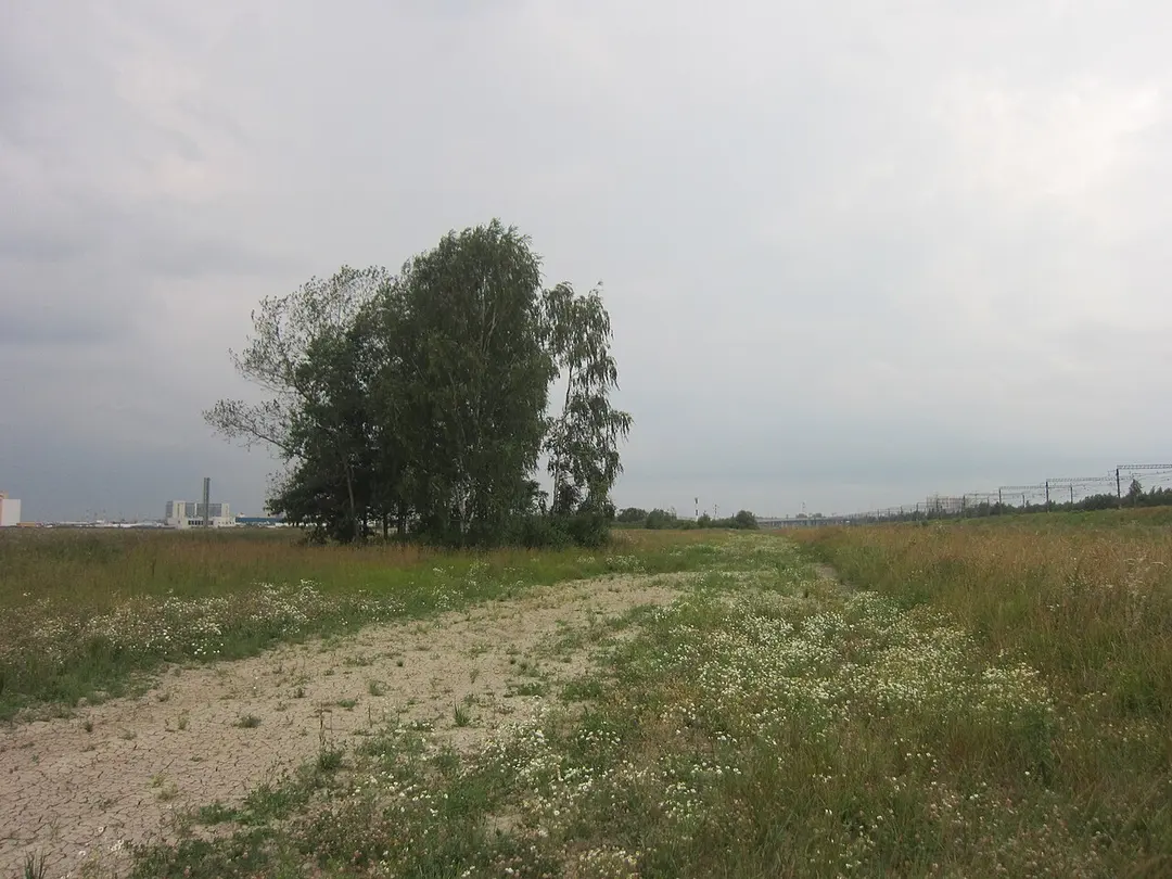 Il-18 Crash Memorial