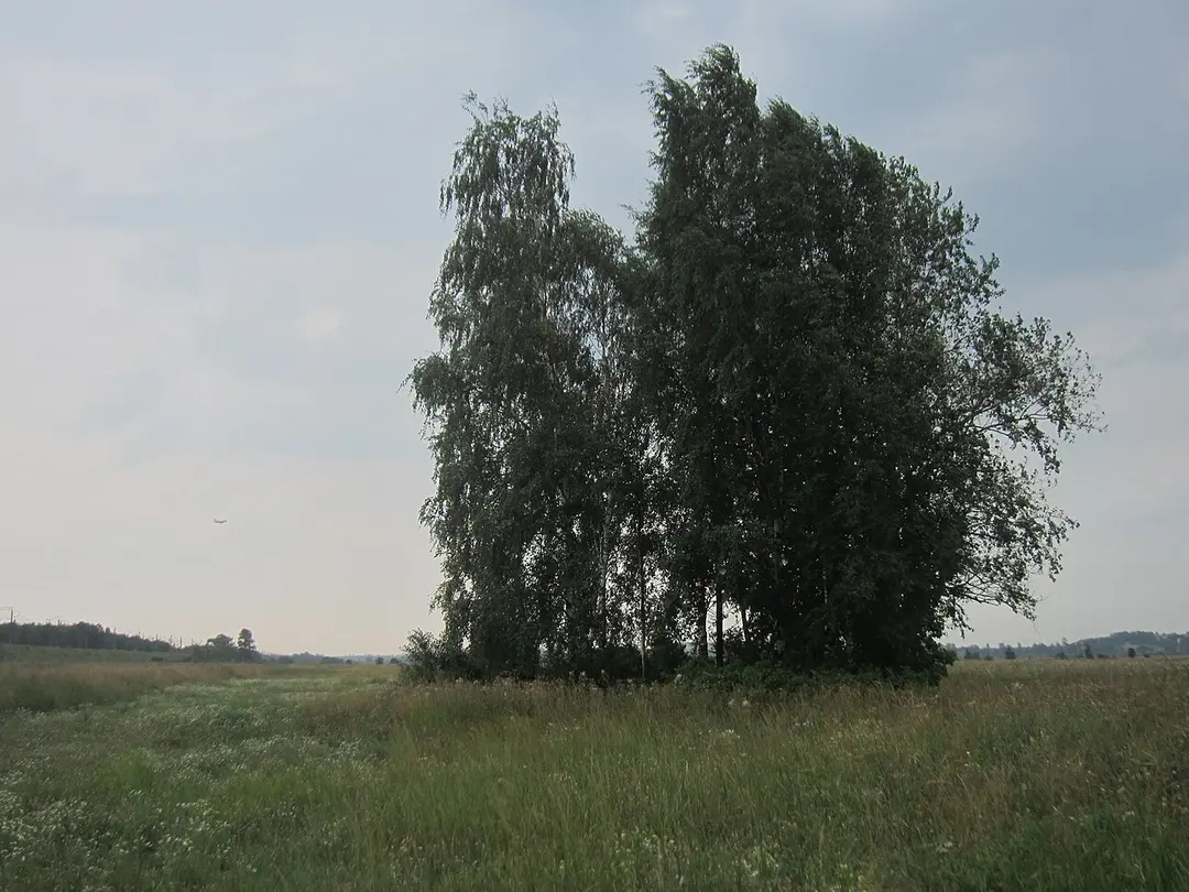 Il-18 Crash Memorial