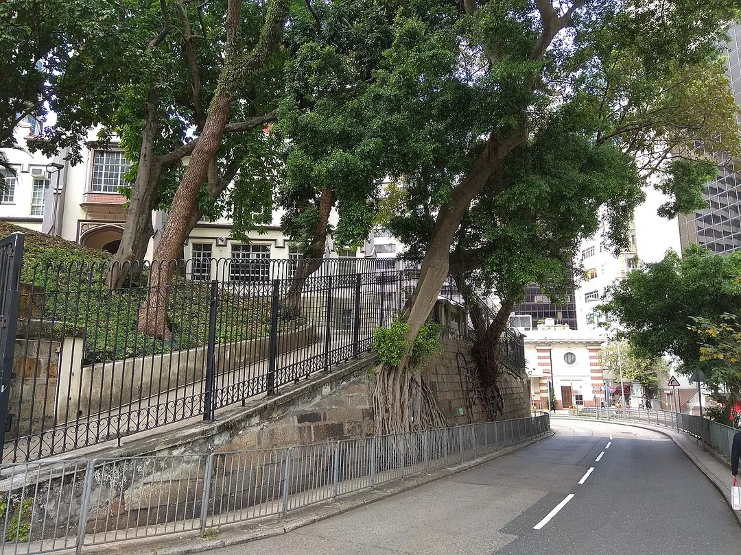 Lower Albert Road