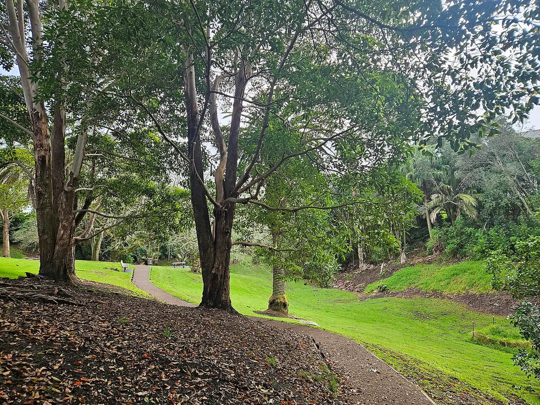 Scarborough Reserve