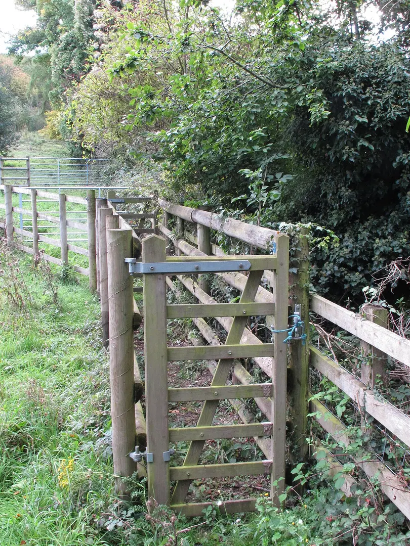 Oakley Hill