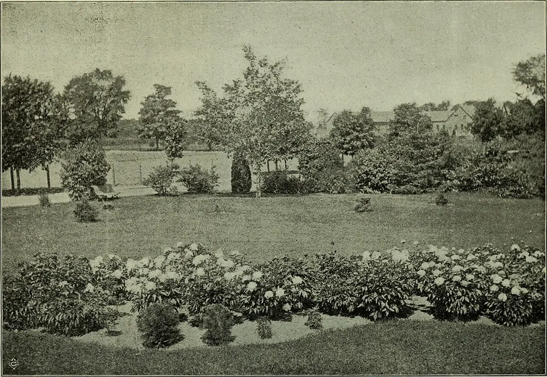 Ornamental Gardens