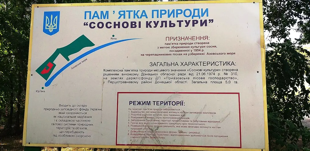 пам'ятка природи Соснові культури