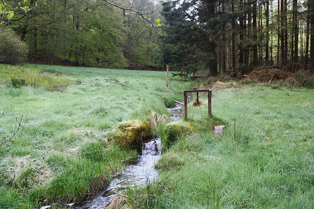 Edelbach