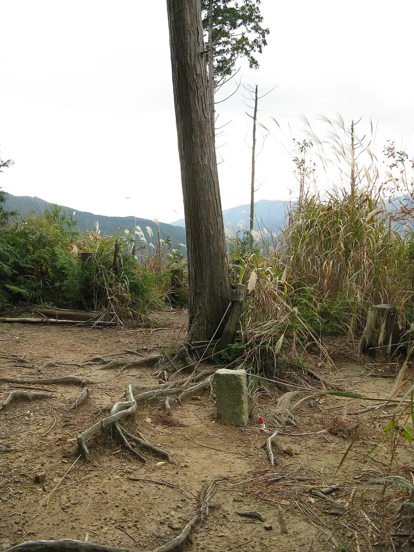 府庁山
