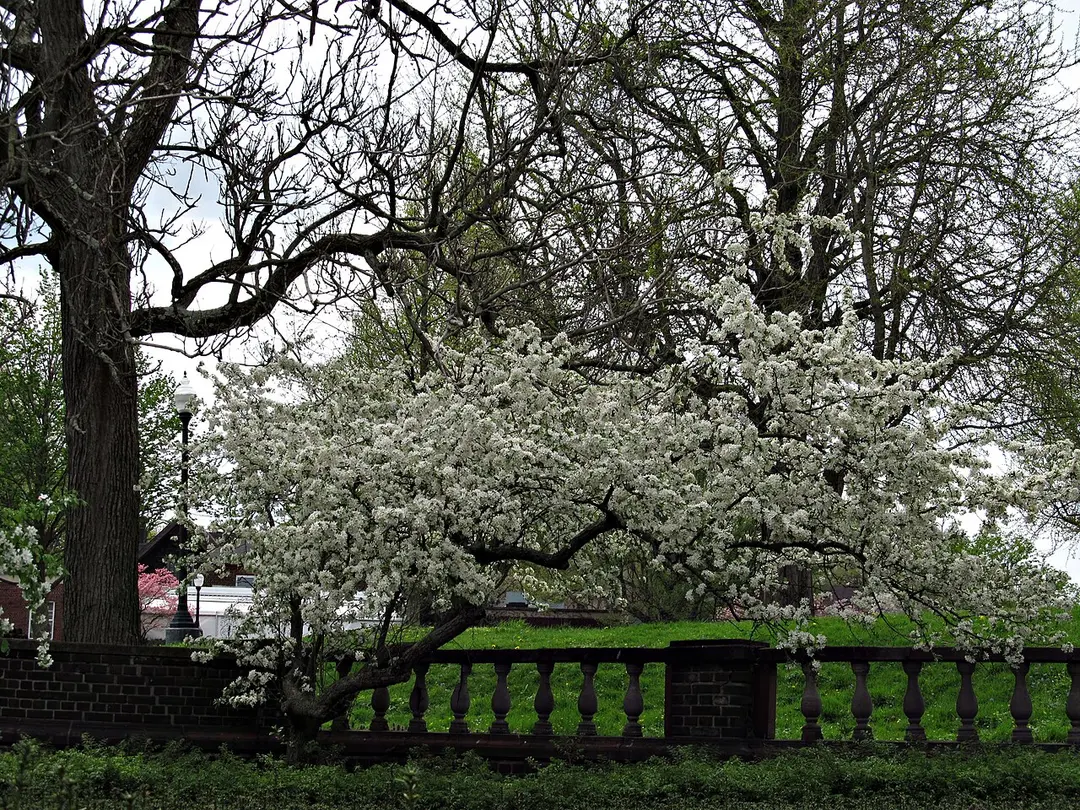 Mellon Park