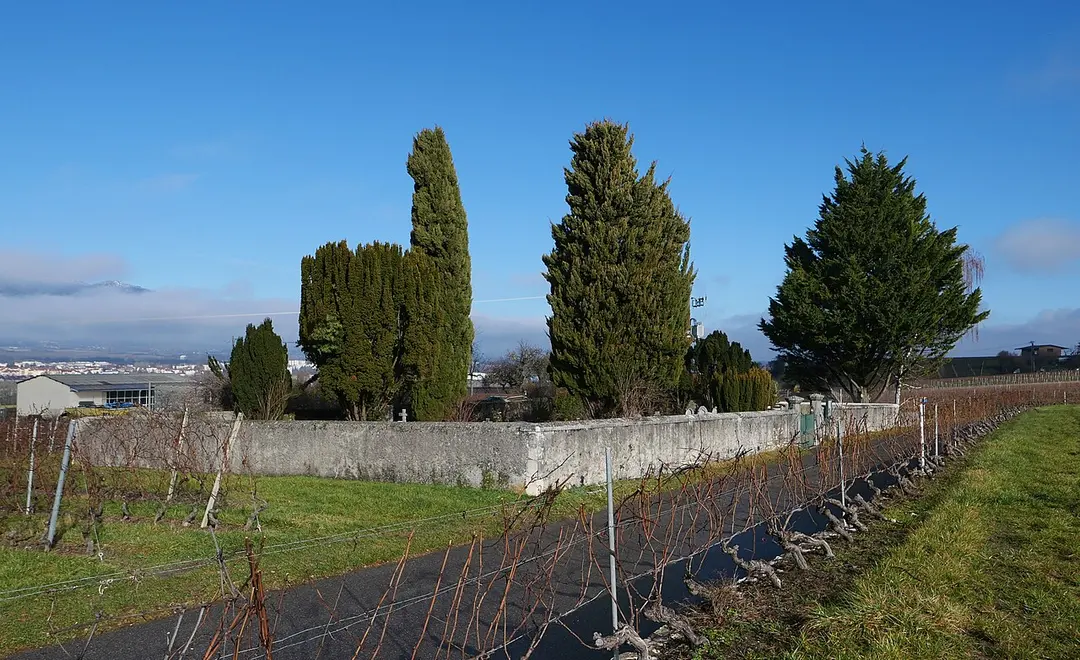 Friedhof von Choully