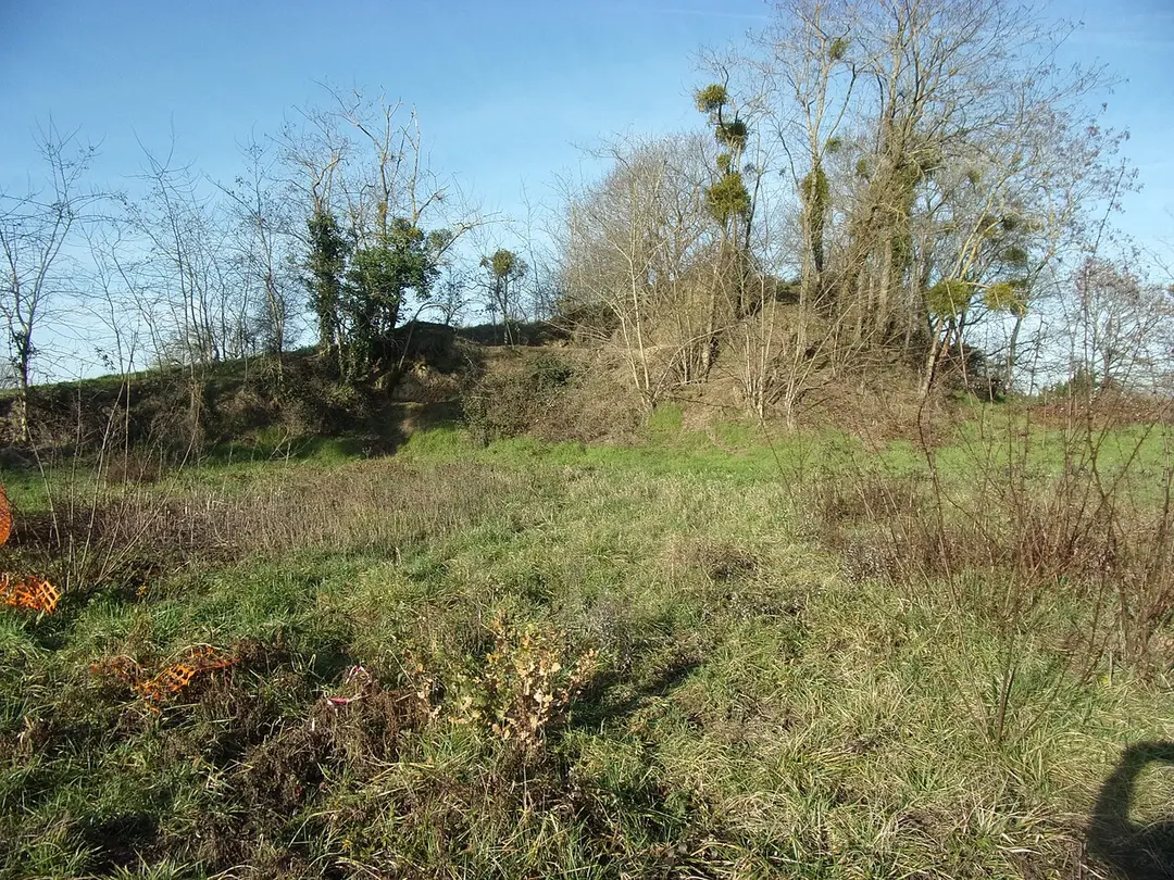 Oppidum protohistorique des Châteliers