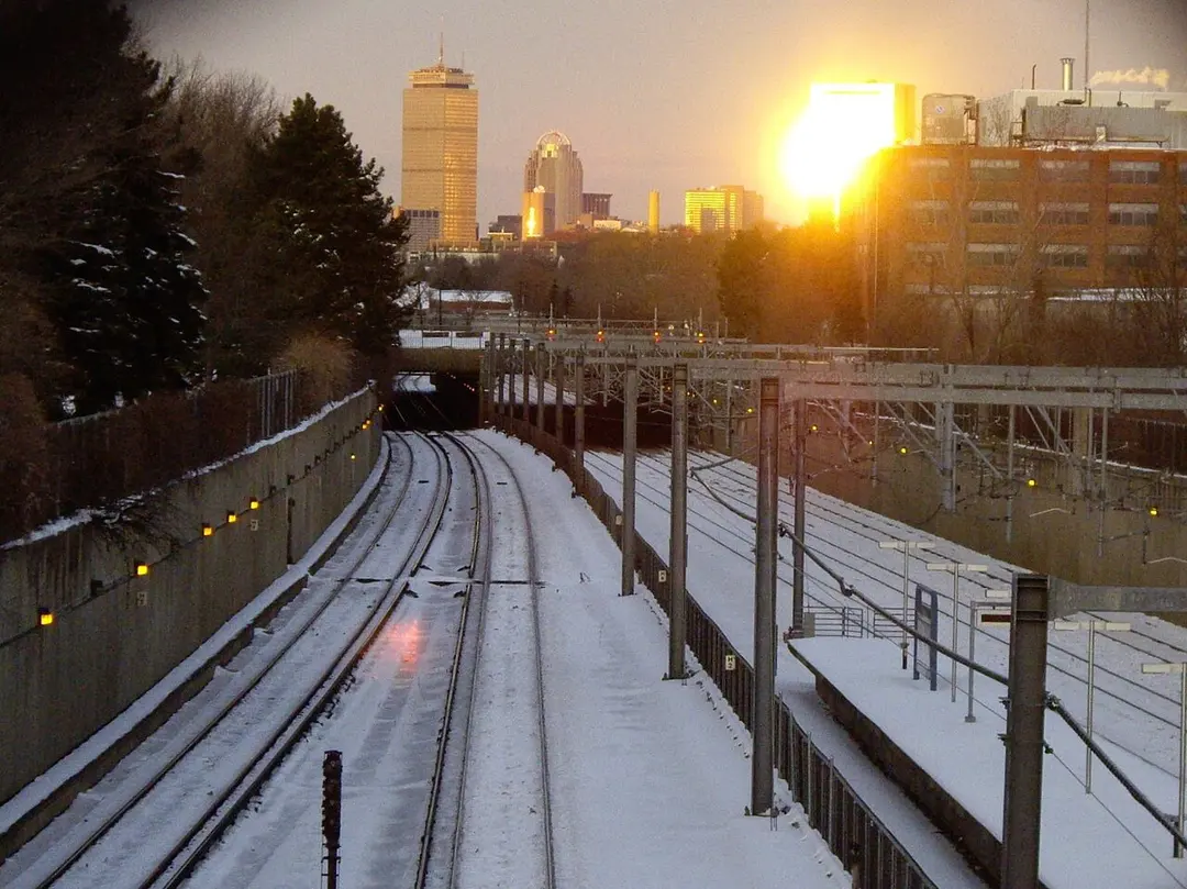 Forest Hills