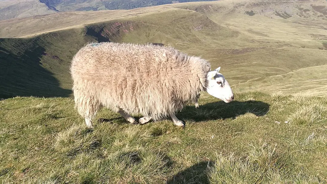 Pen y Fan