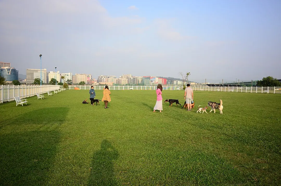 Yingfeng Riverside Park
